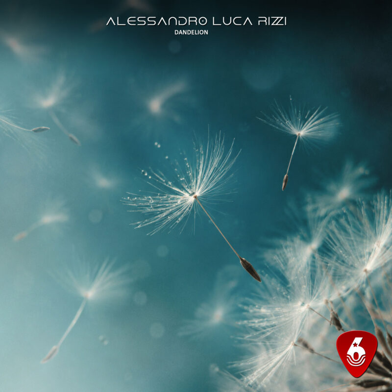 Singlecover Dandelion